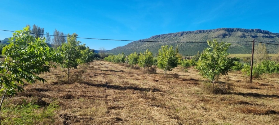 4 Bedroom Property for Sale in Queenstown Rural Eastern Cape